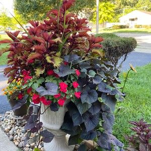 Meet your Posher, Barbara l.